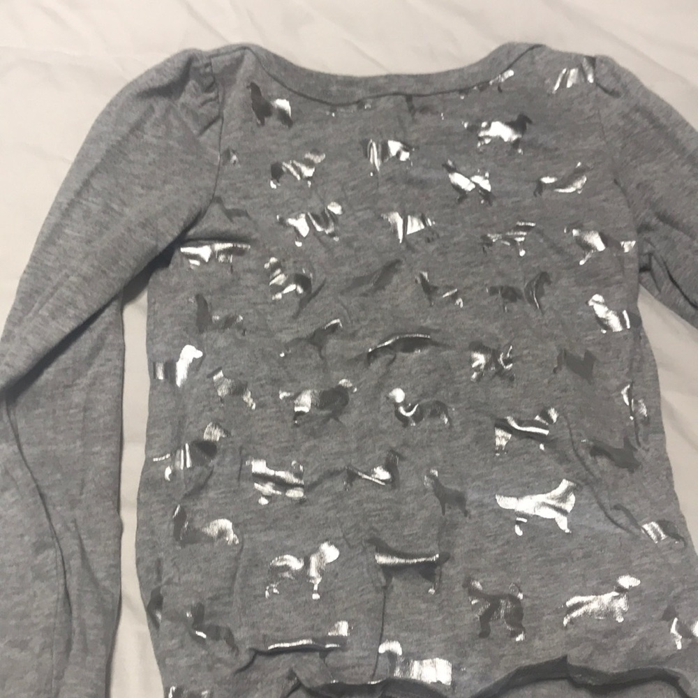 Gray T with shiny dog print.  Size 5T.